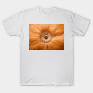 Pumpkin Close Up T-Shirt